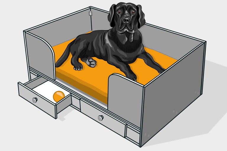 Fabriquer soi-même un lit pour chien