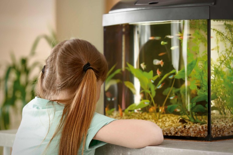 Aquarium pour les enfants