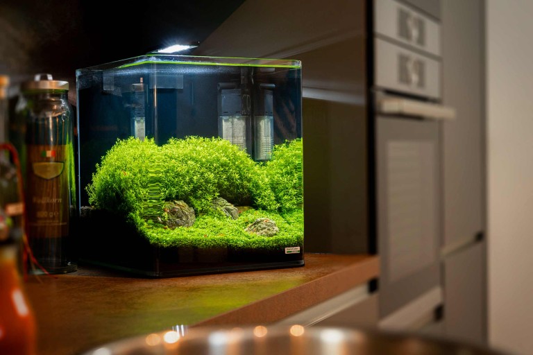  Aménager un nano-aquarium