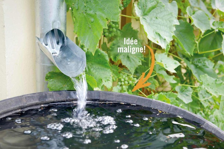 Économiser de l’eau