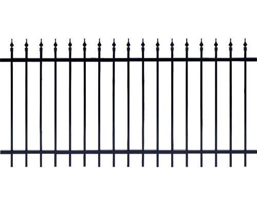 Panneau de clôture ALBERTS Chaussee 200 x 100 cm noir