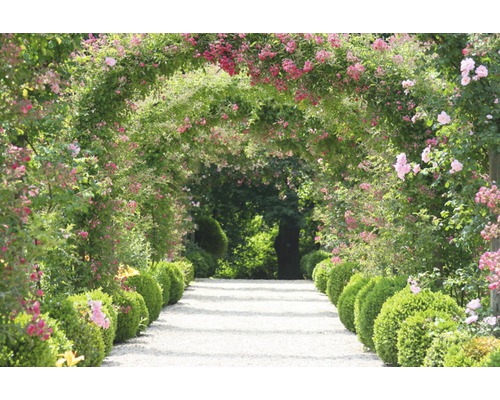 Fototapete Vlies Rose Arch Garden 350 x 260 cm-0
