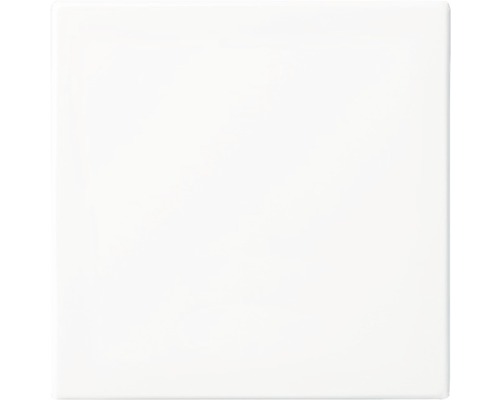 Bascule universelle Busch-Jaeger Balance blanc alpin 2506-914