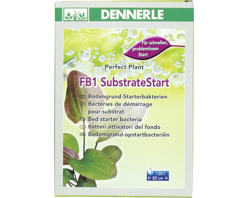 Bactéries de filtration DENNERLE FB1 SubstrateStart 50 g