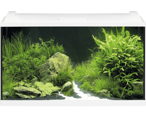 Aquarium EHEIM aquaproLED 126 avec éclairage à LED, filtre, chauffage, thermomètre, filet sans meuble bas, blanc