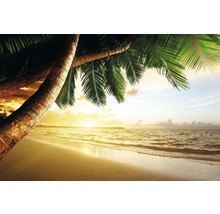 Papier peint photo intissé Caribbean Beach Sunrise 350 x 260 cm-thumb-0