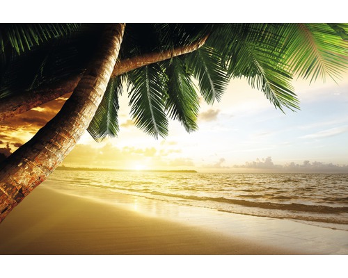 Papier peint photo intissé Caribbean Beach Sunrise 350 x 260 cm-0