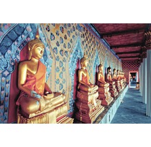 Papier peint photo intissé Golden Statues of Asia 350 x 260 cm-thumb-0