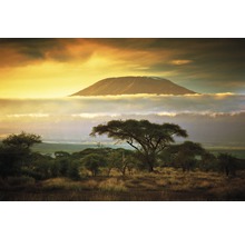 Papier peint photo intissé Mount Kilimanjaro 350 x 260 cm-thumb-0