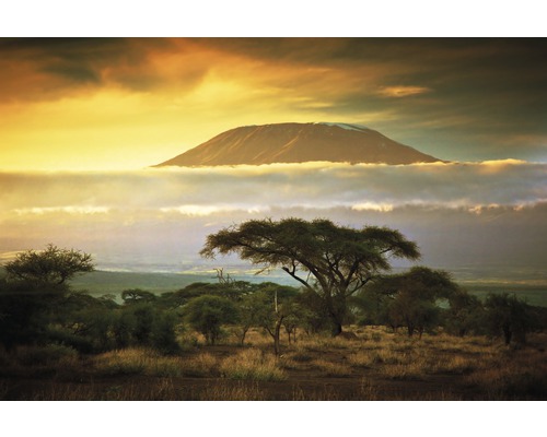 Papier peint photo intissé Mount Kilimanjaro 350 x 260 cm-0