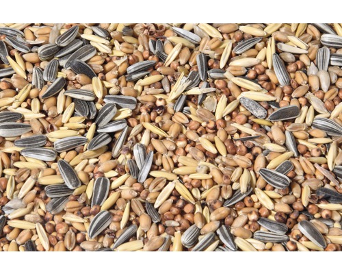 Nourriture pour oiseaux sauvages mélange de graines 20 kg - HORNBACH  Luxembourg