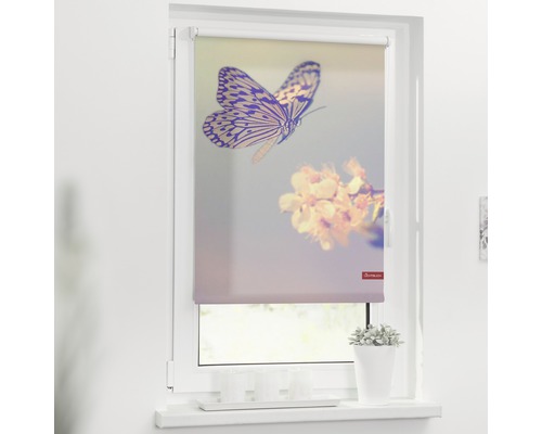 Klemmrollo Lichtblick ohne Bohren Schmetterling 60x150 cm inkl. Klemmträger