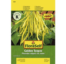 Haricots nains 'Golden Teepee' FloraSelf semences de légumes-thumb-0