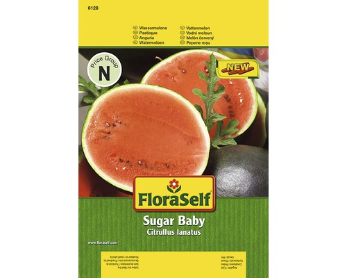 Melon d'eau 'Sugar Baby' FloraSelf semences de légumes