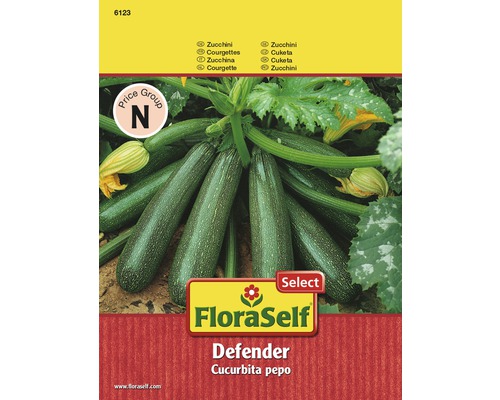 Courgette 'Defender' FloraSelf Select semences de légumes hybrides F1