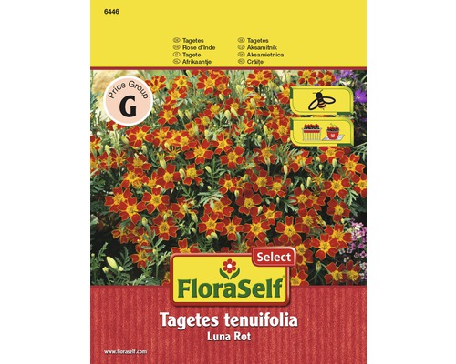 Tagètes 'Luna Rouge' FloraSelf Select semences non-hybrides graines de fleurs