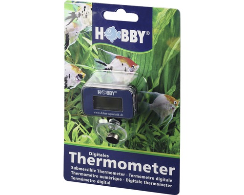 Thermomètre HOBBY digital