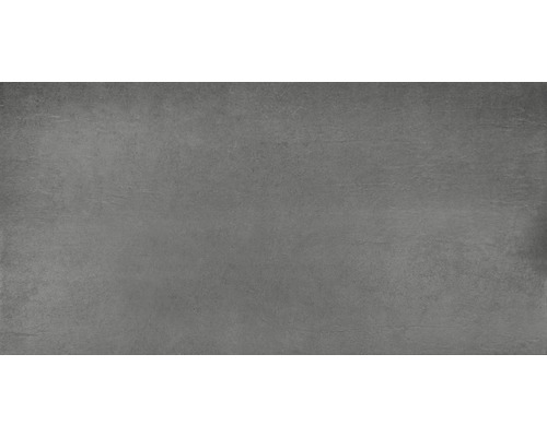 Feinsteinzeug Wand- und Bodenfliese WOHNIDEE Cleo anthrazit 45 x 90 cm Feinsteinzeug Wand- und Bodenfliese WOHNIDEE Cleo anthrazit 45 x 90 cm