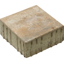 Pavé rectangulaire Crescendo calcaire coquillier 20 x 20 x 8 cm-thumb-0