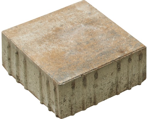 Pavé rectangulaire Crescendo calcaire coquillier 20 x 20 x 8 cm-0