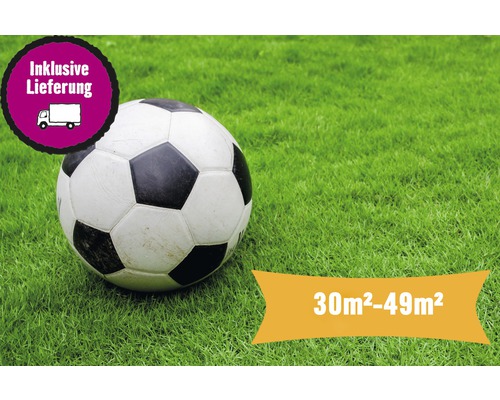 Gazon en rouleau sport Pro quantité de commande à partir de 30-49 m² fraîchement découpé Gazon en rouleau sport Pro quantité de commande à partir de 30-49 m² fraîchement découpé