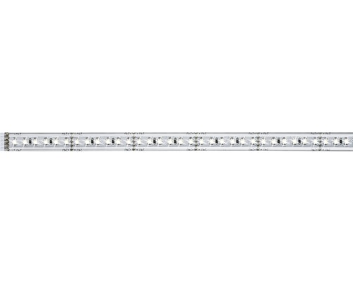 Strip MaxLED 1000 1,0 m 13,5W 1100 lm 2700 K blanc chaud 144 LED revêtu 24V convient comme extension du set de base, convient au Smart Home après extension Strip MaxLED 1000 1,0 m 13,5W 1100 lm 2700 K blanc chaud 144 LED revêtu 24V convient comme extension du set de base, convient au Smart Home après extension