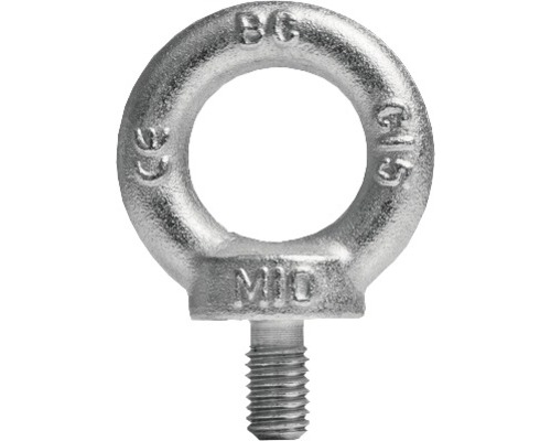 Vis à anneau (comme DIN 580) M24 galvanisée, 1 pièces