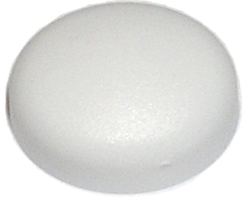 Cache-vis pour plaque minéralogique blanc 100 pièces