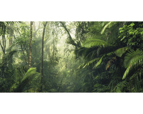 Papier peint panoramique intissé PSH098-VD5 Mondes tropiques 5 pces 500 x 250 cm-0