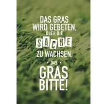 Carte postale Das Gras wird gebeten 14,8x10,5 cm-thumb-0