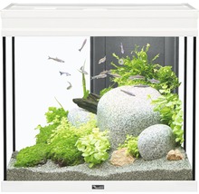Aquarium aquatlantis Elegance Expert 60 2.0 avec éclairage, filtre, pompe sans meuble bas blanc-thumb-0