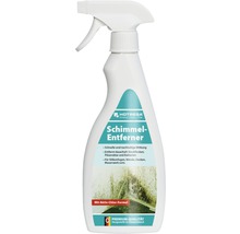 Nettoyant anti-moisissures Hotrega 500 ml-thumb-0