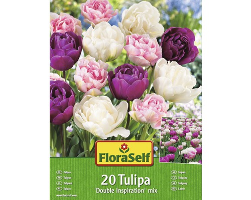 Blumenzwiebel-Vorteilspack Tulpen Double Inspiration Mischung 20 Stk.