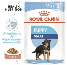 Hundefutter nass ROYAL CANIN Maxi Puppy Welpenfutter für große Hunde 1 Pack 10x140 g-thumb-3
