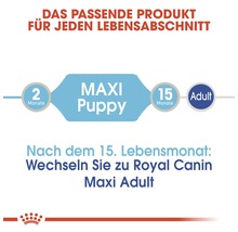 Hundefutter nass ROYAL CANIN Maxi Puppy Welpenfutter für große Hunde 1 Pack 10x140 g-thumb-4