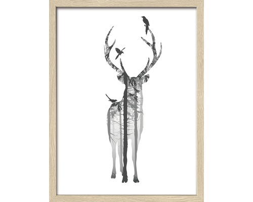 Gerahmtes Bild Deer With Birds 33x43 cm