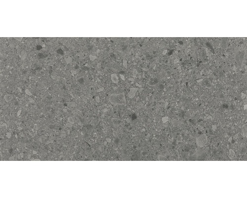 Carrelage pour mur et sol en grès cérame fin Terrazzo Donau gris 60x120 cm rectifié