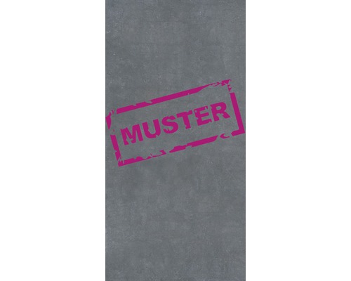 Échantillon de dalle de terrasse en grès cérame fin Flairstone cemento scuro gris foncé Échantillon de dalle de terrasse en grès cérame fin Flairstone cemento scuro gris foncé