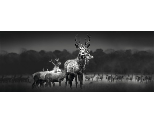 Tableau en verre Herd Of Deer 30x80 cm-0