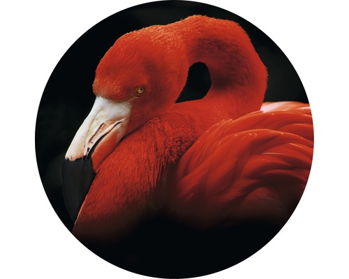Tableau en verre rond Sleeping Flamingo Ø 30 cm-0