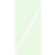 Duschrückwand Schulte Decodesign Dekor light grün Hochglanz 100x210 cm-thumb-1