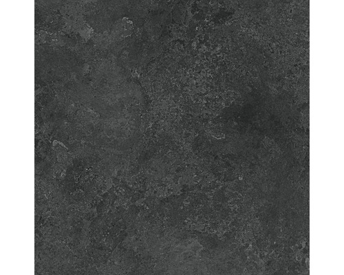 Feinsteinzeug Wand- und Bodenfliese Candy graphite 79,8 x 79,8 cm rektifiziert