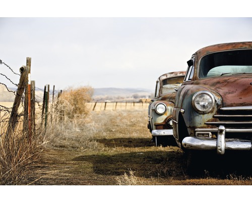 Papier peint photo intissé Vintage Rusting Cars 350 x 260 cm-0