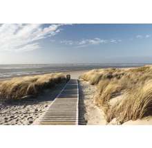 Fototapete Vlies Dunes in Langeoog 350 x 260 cm-thumb-0
