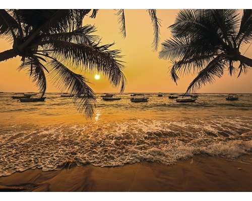 Fototapete Vlies Sri Lanka Palm Beach 350 x 260 cm-0