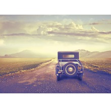 Papier peint photo intissé Vintage Car in Desert 350 x 260 cm-thumb-0