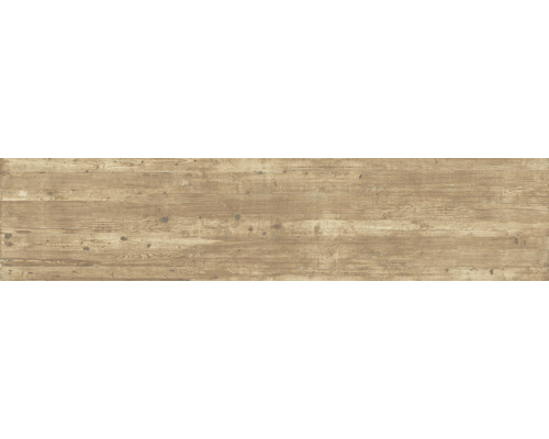 Carrelage pour mur et sol en grès cérame fin Limewood Retro naturel 23,3 x 120 cm