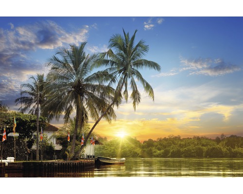 Papier peint photo intissé Tropical Palms Sunrise 400 x 260 cm-0