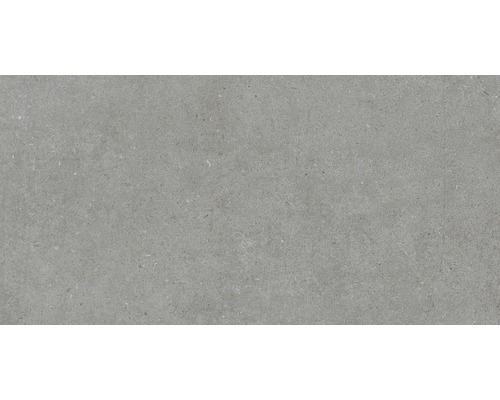 Carrelage pour mur et sol en grès cérame fin Structure gris, gris mat 30 x 60 cm
