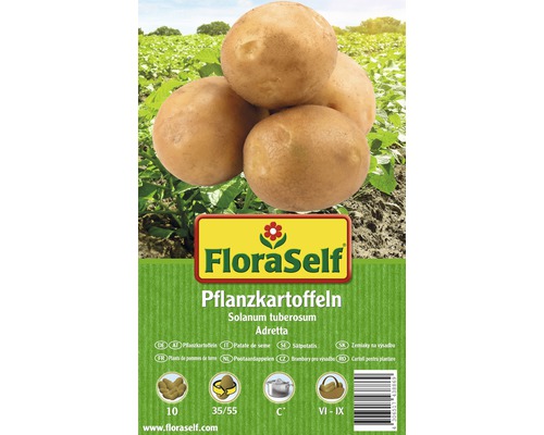 Plants de pommes de terre FloraSelf Solanum tuberosum 'Adretta' 10 pièces
